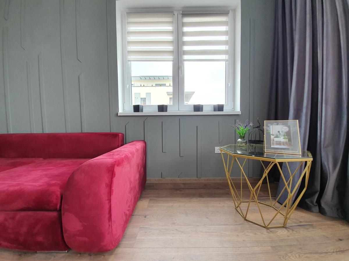 براشوف Passion Place Apartment المظهر الخارجي الصورة