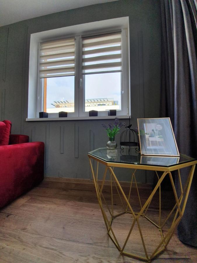 براشوف Passion Place Apartment المظهر الخارجي الصورة